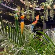 ヒメ日記 2026/03/03 14:42 投稿 きよか 池袋人妻城