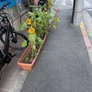 ヒメ日記 2026/07/19 17:15 投稿 きよか 池袋人妻城