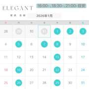 Anju Aihara ??1月スケジュール??.*? ELEGANT－エレガント－
