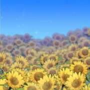 ヒメ日記 2025/08/09 09:31 投稿 たまも 丸妻 新横浜店