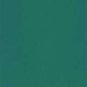 ヒメ日記 2025/08/11 11:59 投稿 たまも 丸妻 新横浜店