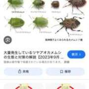 ヒメ日記 2025/09/29 13:39 投稿 ゆの ゴールドフィンガー