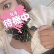 ヒメ日記 2025/08/10 17:33 投稿 あまね 溢れる色気と官能ボディ L＆Jブラザーズ