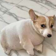 ヒメ日記 2025/11/27 21:15 投稿 なほ【性感】 性感エステBianca豊中店