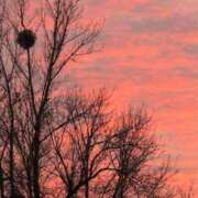 ヒメ日記 2025/11/30 23:00 投稿 なほ【性感】 性感エステBianca豊中店