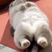 ヒメ日記 2025/12/03 00:39 投稿 なほ【性感】 性感エステBianca豊中店