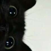 ヒメ日記 2026/02/06 23:15 投稿 なほ【性感】 性感エステBianca豊中店