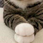 ヒメ日記 2026/03/05 23:31 投稿 なほ【性感】 性感エステBianca豊中店