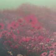 ヒメ日記 2025/09/09 09:49 投稿 まいか 素人妻御奉仕倶楽部Hip's松戸店