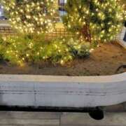 ヒメ日記 2025/12/07 20:12 投稿 まいか 素人妻御奉仕倶楽部Hip's松戸店