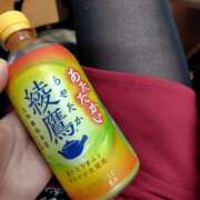 ヒメ日記 2025/12/28 19:19 投稿 まいか 素人妻御奉仕倶楽部Hip's松戸店