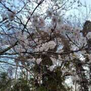 ヒメ日記 2026/03/28 13:29 投稿 まいか 素人妻御奉仕倶楽部Hip's松戸店