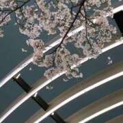 るる むかってます！ ジュエルズ(池袋)