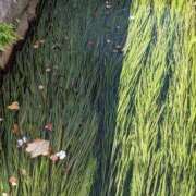 ヒメ日記 2025/08/19 13:02 投稿 高嶋 ちさ子 熟女・人妻マダム宮殿