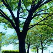 ヒメ日記 2025/08/20 08:49 投稿 高嶋 ちさ子 熟女・人妻マダム宮殿