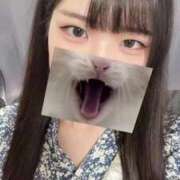 ヒメ日記 2025/08/07 12:34 投稿 白雪ふゆみ ウルトラロイヤル