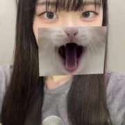 ヒメ日記 2025/08/12 23:48 投稿 白雪ふゆみ ウルトラロイヤル