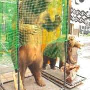 ヒメ日記 2025/08/10 13:56 投稿 千歳さおり 月の真珠-五反田-