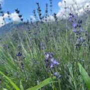 ヒメ日記 2025/08/12 23:26 投稿 千歳さおり 月の真珠-五反田-