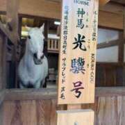 ヒメ日記 2025/08/14 18:56 投稿 千歳さおり 月の真珠-五反田-