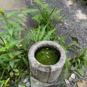 ヒメ日記 2025/08/29 13:08 投稿 千歳さおり 月の真珠-五反田-