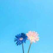 ヒメ日記 2025/09/02 17:36 投稿 千歳さおり 月の真珠-五反田-