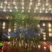 ヒメ日記 2025/09/25 07:40 投稿 千歳さおり 月の真珠-五反田-