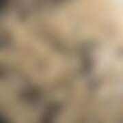 ヒメ日記 2025/11/04 13:17 投稿 ゆきみ 西川口マーメイド