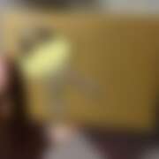 ヒメ日記 2026/04/09 21:43 投稿 ゆきみ 西川口マーメイド