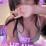 ヒメ日記 2026/03/10 15:55 投稿 らん バカンス学園　谷九校