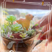 ヒメ日記 2025/10/28 14:09 投稿 なつみ パラダイス(泉大津)