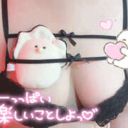 ヒメ日記 2026/02/10 12:10 投稿 さく パラダイス(泉大津)