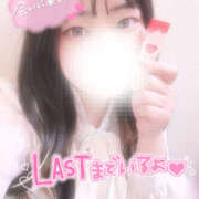 ヒメ日記 2026/03/12 15:49 投稿 さく パラダイス(泉大津)