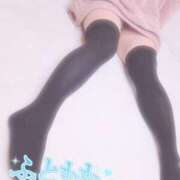 ヒメ日記 2026/04/06 15:19 投稿 さく パラダイス(泉大津)