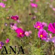 ヒメ日記 2025/11/06 11:09 投稿 なな パラダイス(泉大津)