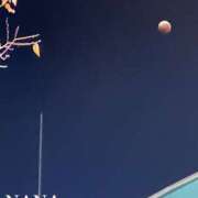 ヒメ日記 2025/12/02 11:09 投稿 なな パラダイス(泉大津)