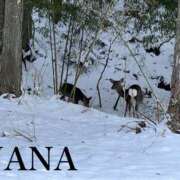 ヒメ日記 2026/01/19 11:19 投稿 なな パラダイス(泉大津)