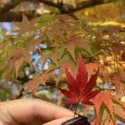 ヒメ日記 2026/03/12 11:39 投稿 なな パラダイス(泉大津)