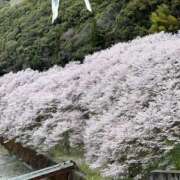 ヒメ日記 2026/03/18 11:32 投稿 なな パラダイス(泉大津)