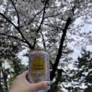 ヒメ日記 2026/04/09 09:59 投稿 なな パラダイス(泉大津)