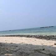ヒメ日記 2026/05/13 12:09 投稿 なな パラダイス(泉大津)