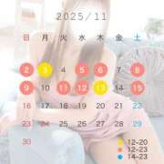 ヒメ日記 2025/10/26 12:01 投稿 ななせ 男爵