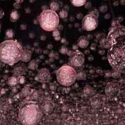 ヒメ日記 2025/12/22 11:52 投稿 ななせ 男爵