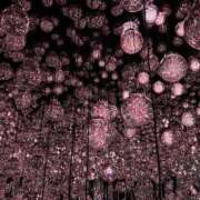 ヒメ日記 2026/01/20 11:54 投稿 ななせ 男爵