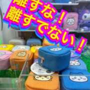 ヒメ日記 2025/10/02 12:18 投稿 ユリ マリン土浦本店