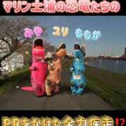 ヒメ日記 2025/11/18 11:21 投稿 ユリ マリン土浦本店