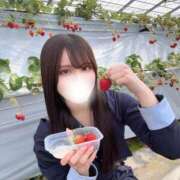 ヒメ日記 2026/03/24 19:30 投稿 りな コートダジュール