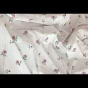 ヒメ日記 2026/04/14 19:40 投稿 もも ドリーム水戸