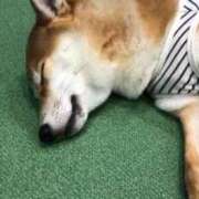 ヒメ日記 2025/10/14 17:05 投稿 るなん 奥様特急上越店