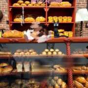 ヒメ日記 2025/11/13 22:05 投稿 るなん 奥様特急上越店